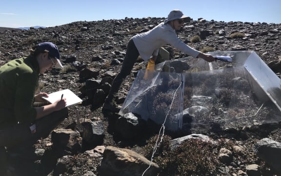 A woman leans over a hexagonal transparent plastic structure affixed to the rocky ground, while another woman takes notes.