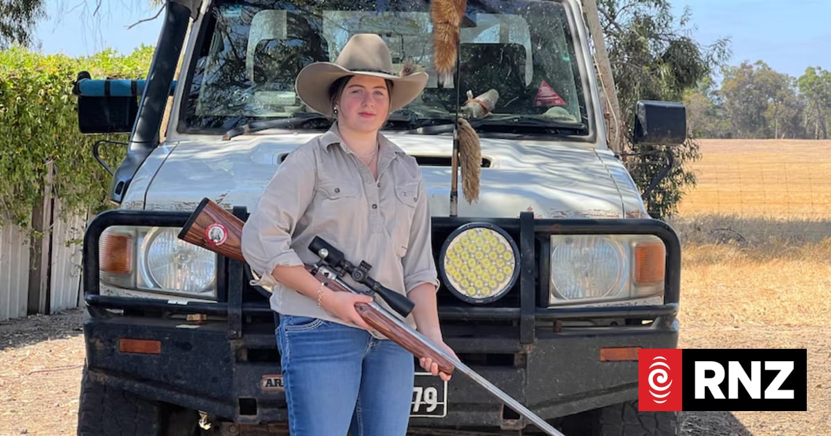 Another kangaroo 'crash' is coming - some say they should be shot ...