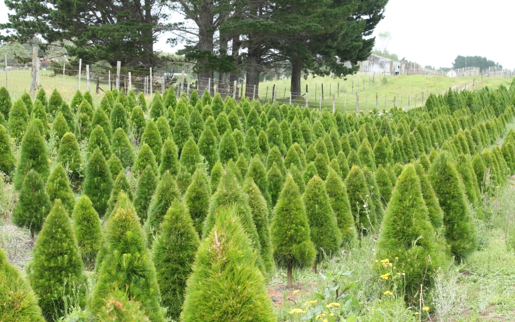 Christmas tree