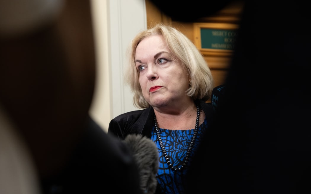 Judith Collins addresses the media as Chair of Parliament's Privileges Committee.