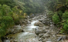 Stream