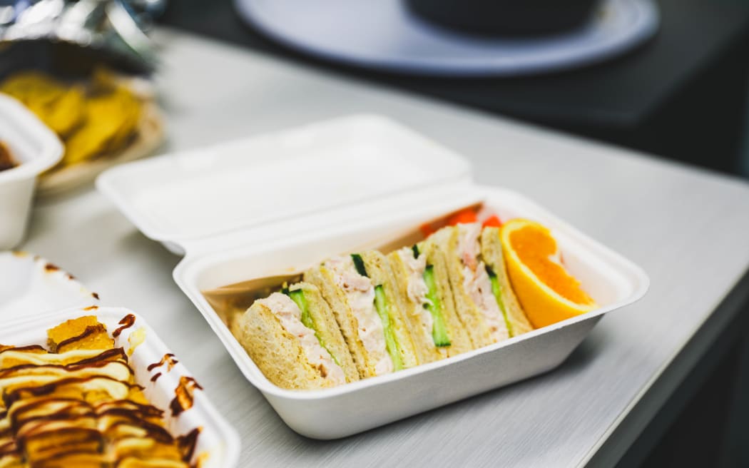 Sandwiches and fruit are an example of a lunch offered by Lunch with Crunch to school children