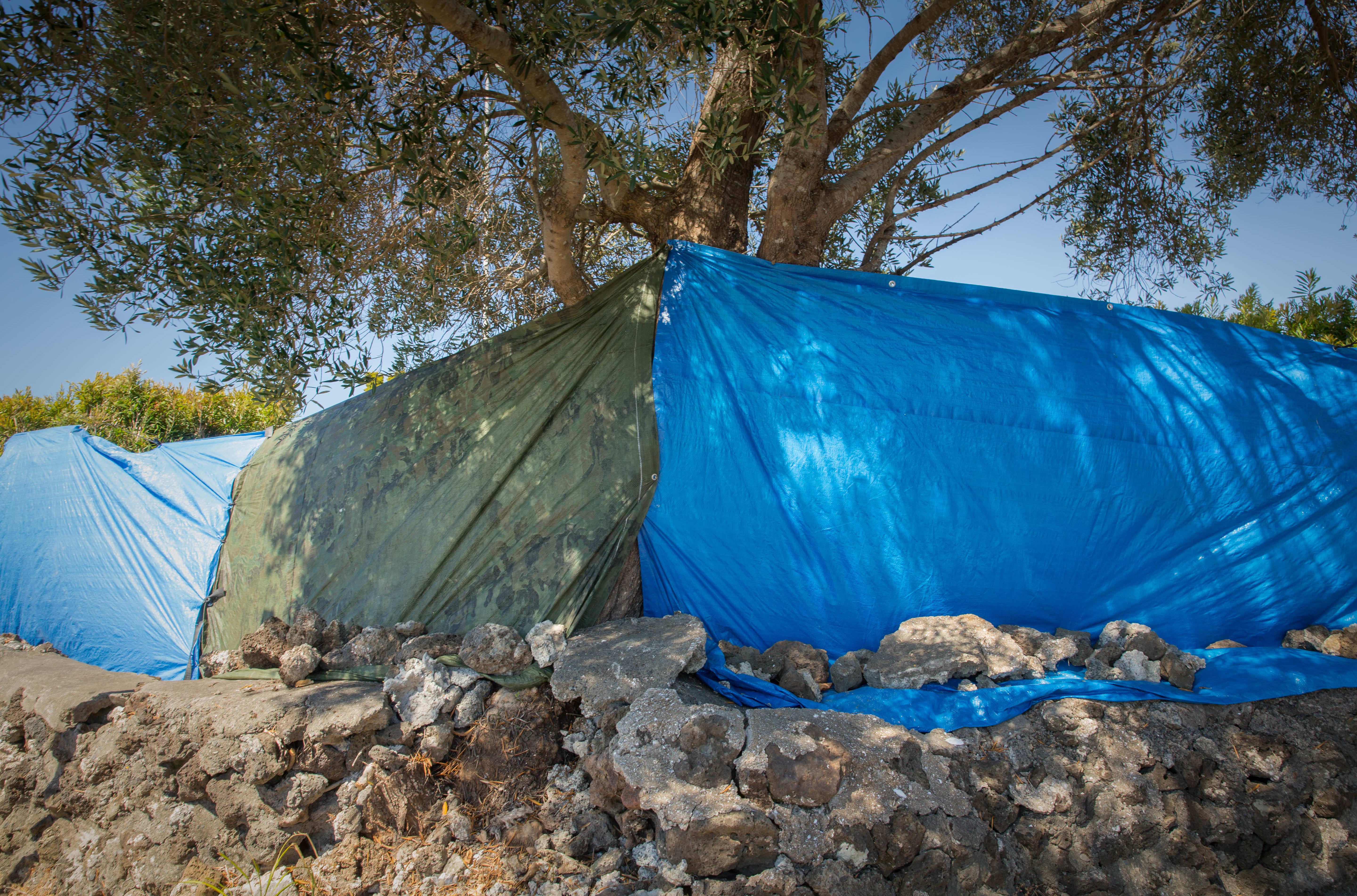 A tarpaulin erected to prevent media from filming proceedings on Te Tii Marae.