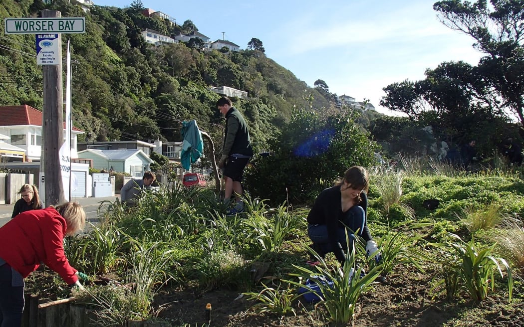 Volunteers planting