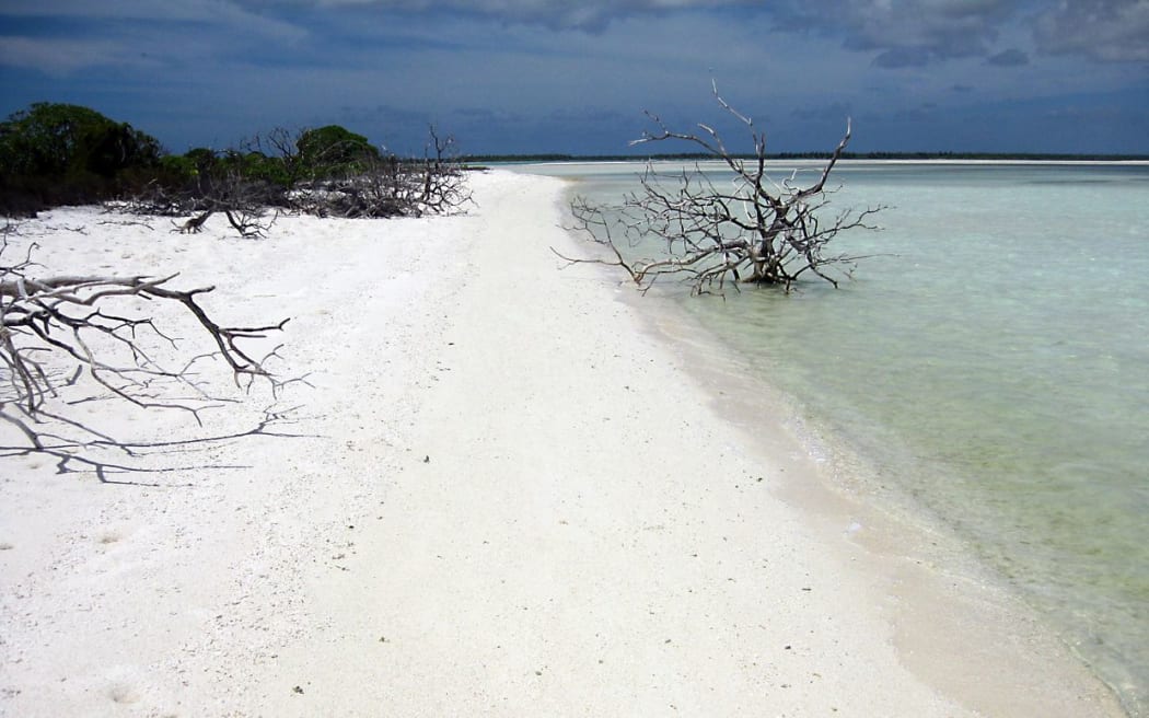 Christmas Island bird sanctuary in Kiribati.