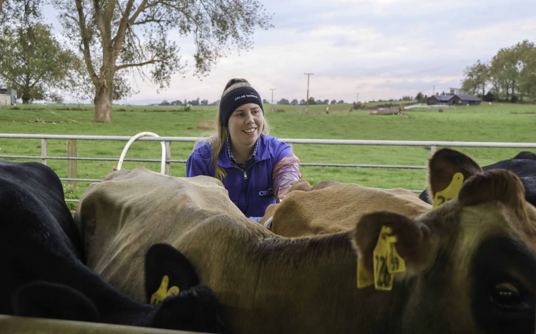 The company CRV has about 150 AB technicians. About 50 percent are women, a growth of 10 percent in four years.