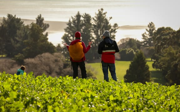 Educational visit of a farm for kids
