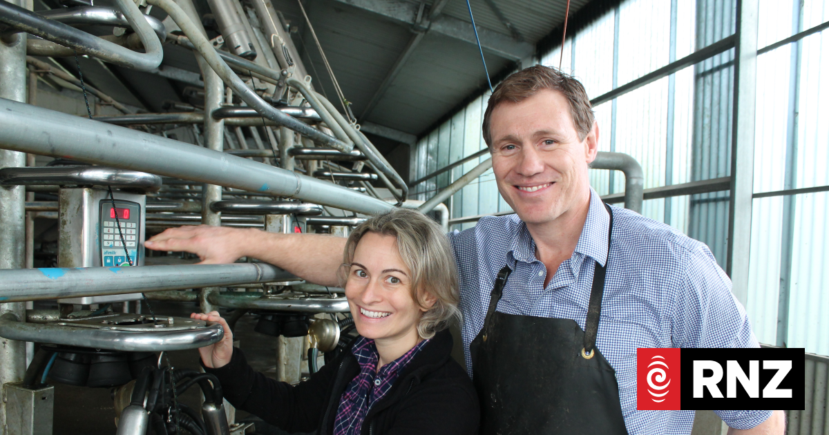 Working smarter not harder - the lean approach to dairying | RNZ