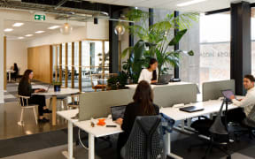 Workers in one of the GridAKL workspaces.