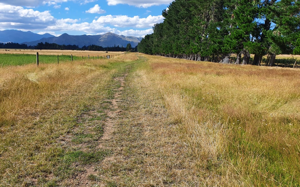 Unformed legal road running adjacent to a farm near Hurunui.