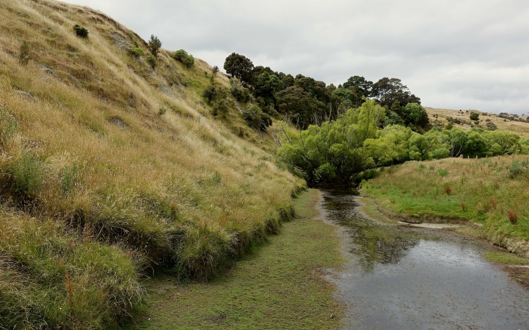 Low running small river with cluster of trees over and in the water in the distance