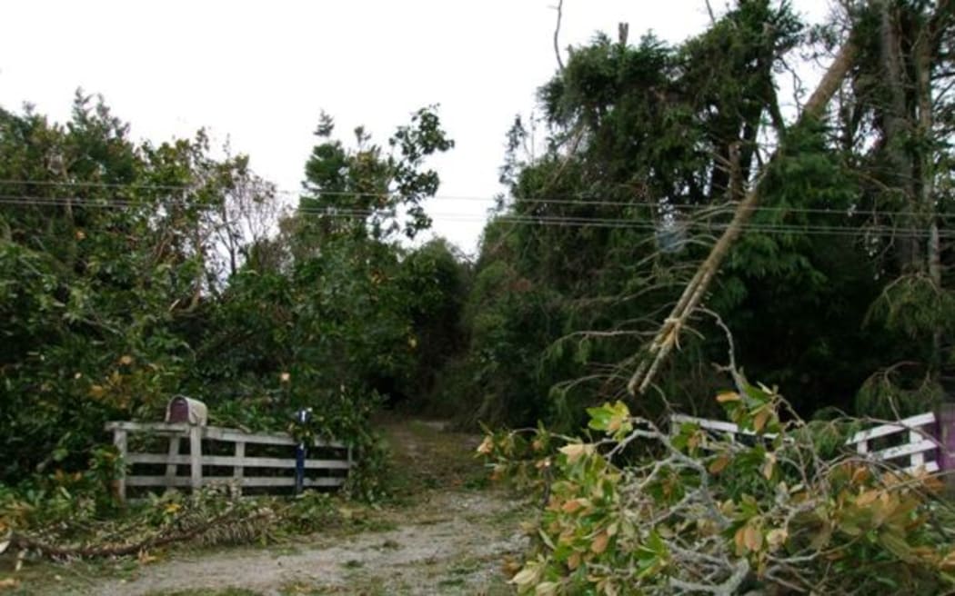 Most roads have been cleared of fallen trees.