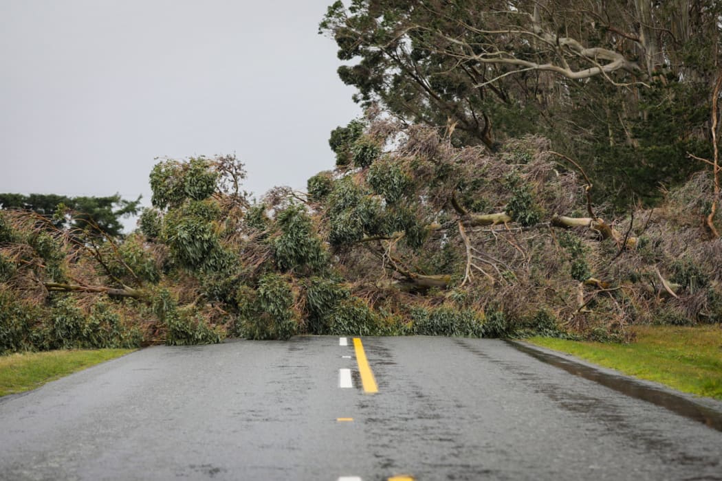 Strong winds in the Glentui area of Canterbury brought down trees. Birch Hill Rd, Glentui.