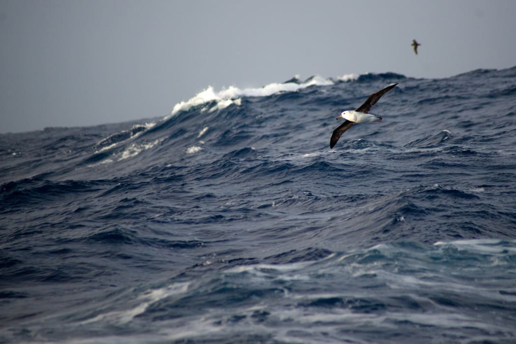 Antarctic Ocean