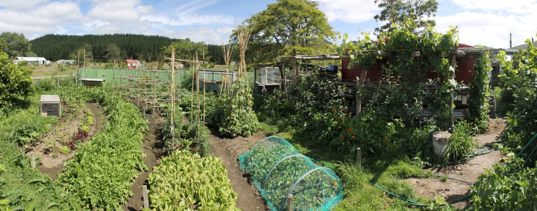 Kōanga's urban garden