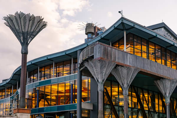 Te Matapihi Wellington Library