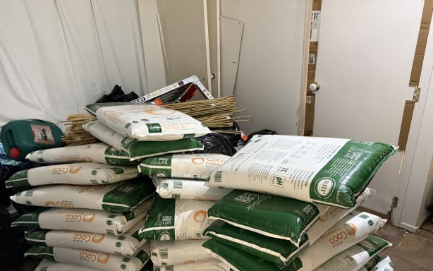 $6.5m worth of cannabis was seized in the Rotorua operation