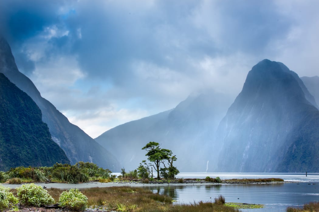 Milford Sound, Fiordland National Park.