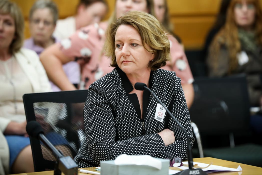 Chief Executive Office of the New Zealand Medical Association Lesley Clarke speaks to the Abortion Legislation Committee