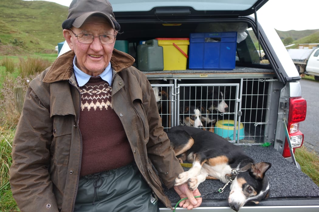Dog trials Alan Smith of Matamata and Dot