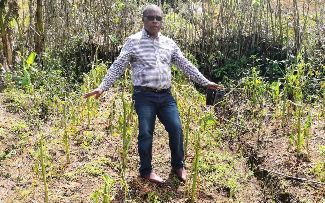 Robin Yakumb inspects broken corn plants.