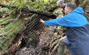 Barrett Pistoll and Bart Cox assembling cages to protect Te Pua o Te Rēinga in the Wainuiomata Water Protection area