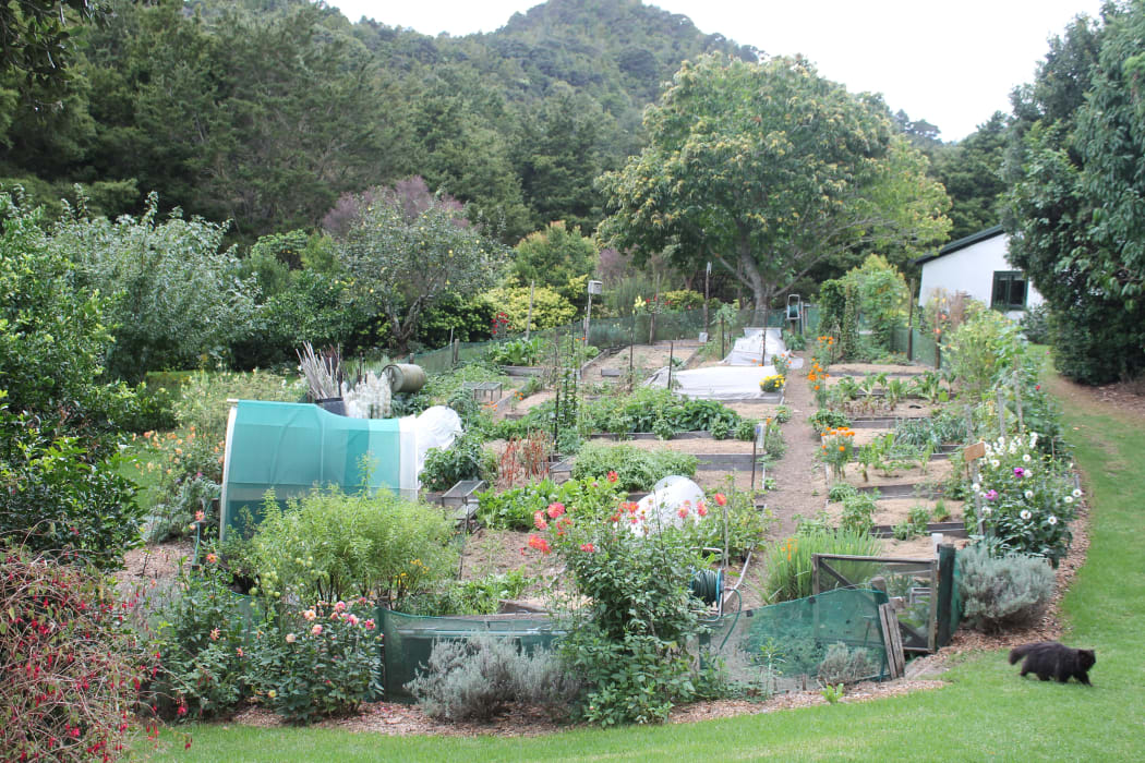 The Veling's vegetable garden