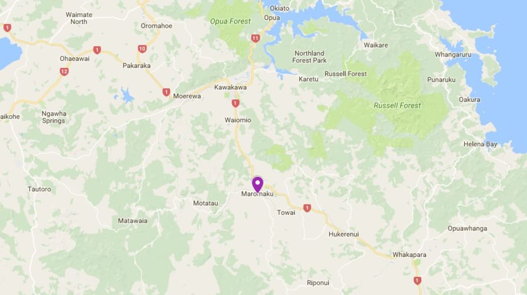 The collision closed SH1 north of Maromaku.