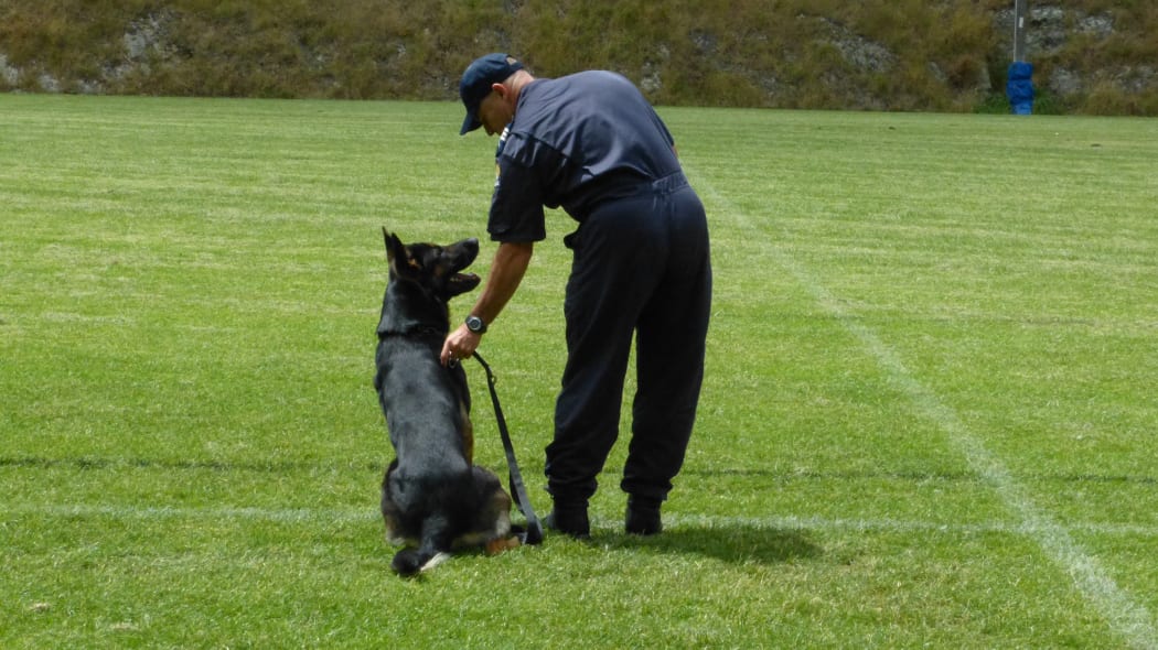 Sergeant Brett Marley, from Wellington Police's dog squad, says his dog is his best mate.