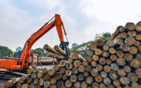 Wood processing factory. Forestry.