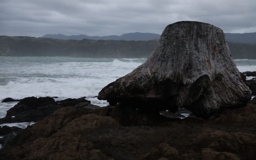 Breaker  Bay day after high waves - taken on June 10