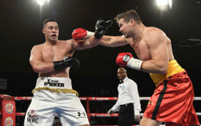 Joseph Parker and Alexander Dimitrenko