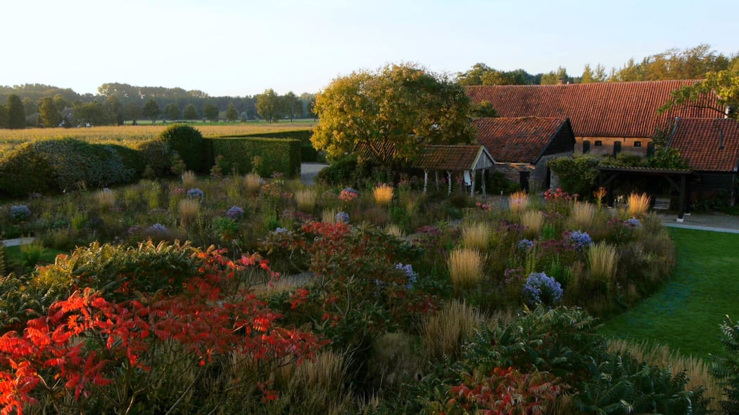 The gardens at Hummelo in the fall from the film Five Seasons: The Gardens of Piet Oudolf