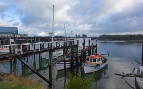 Fishing fleet in Westport,