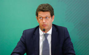 Brazil's Environment Minister Ricardo Salles
