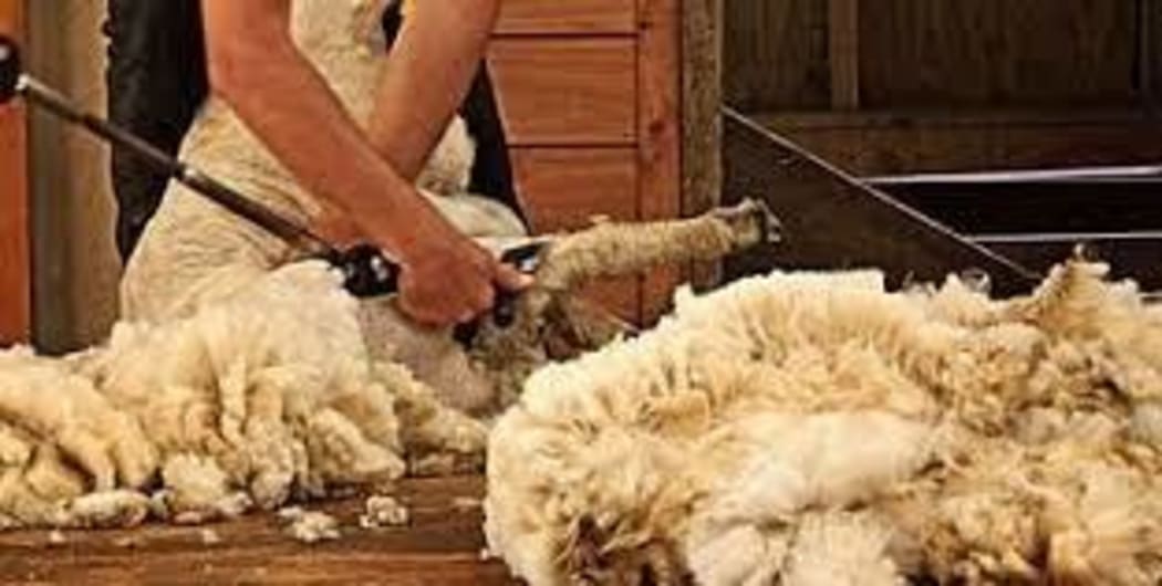 Shearing