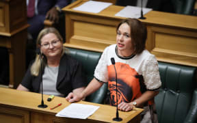 Labour MP Ginny Andersen in the House debating the third reading of her miscarriage bereavement leave bill
