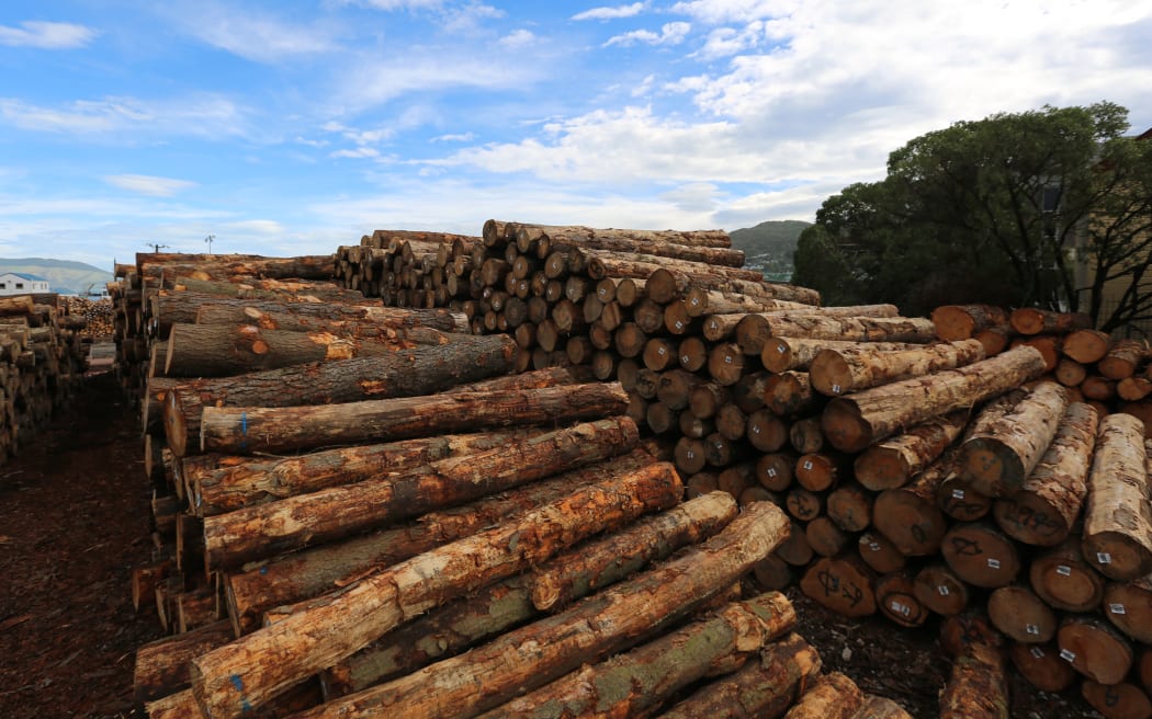 230414. Photo Diego Opatowski / RNZ. Christchurch. Logs in the port.