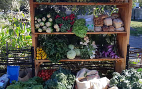 Shelves stacked with vegetables and bread at Roimata Food Commons.