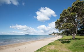Browns Bay community on the North Shore, Auckland