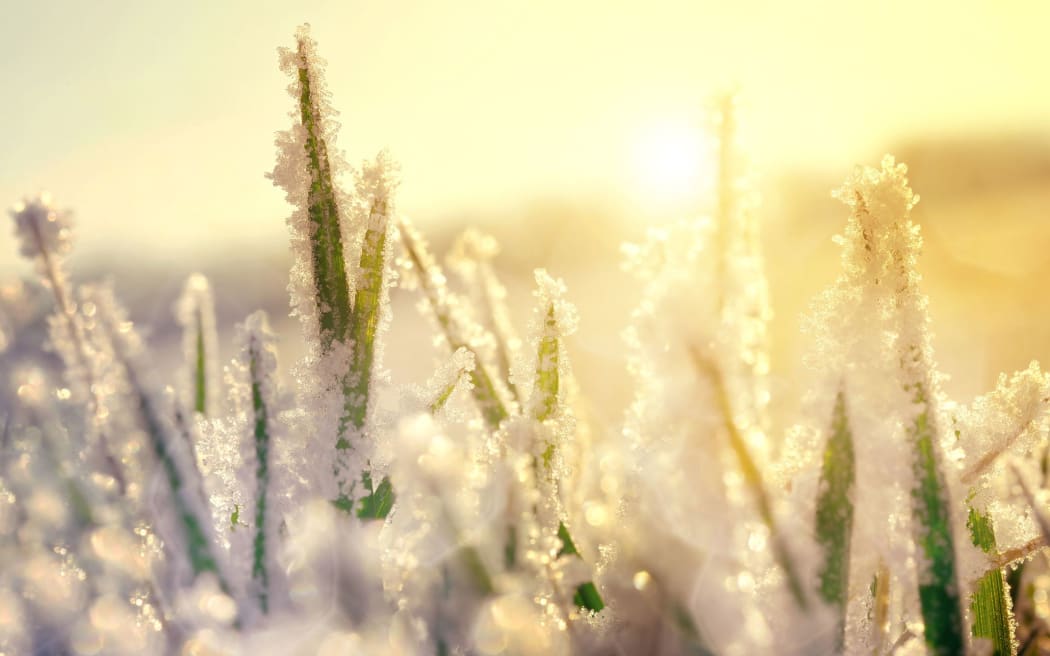 Frost, ice, snow, cold, winter, generic