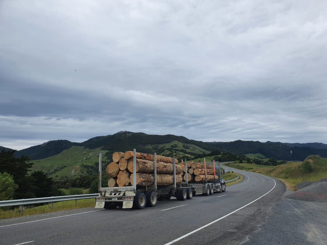 Logging truck heading to Gisborne port