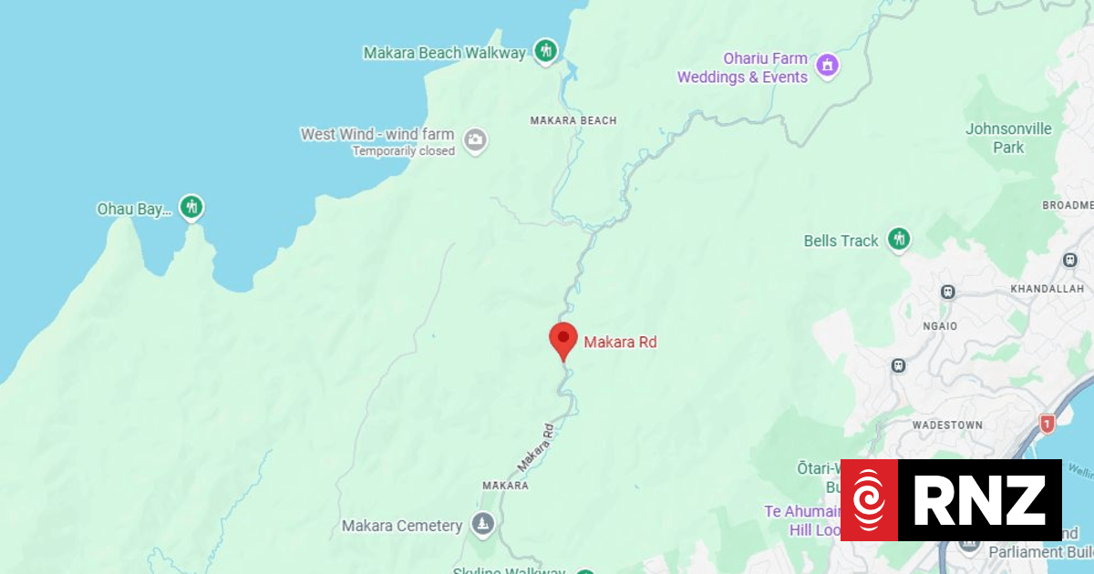 Car flips upside down into stream in Wellington