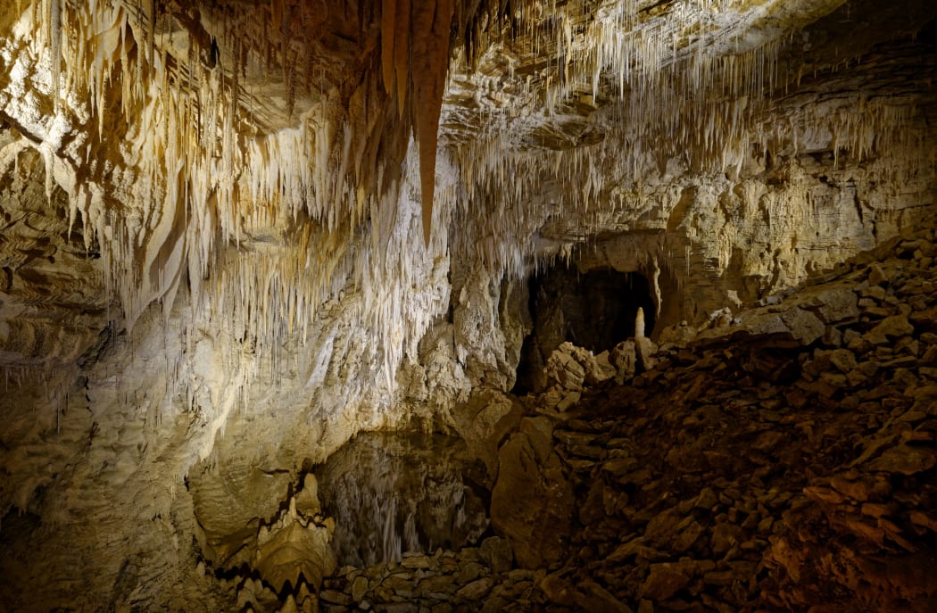 Waitomo Caves, North Island of New Zealand.