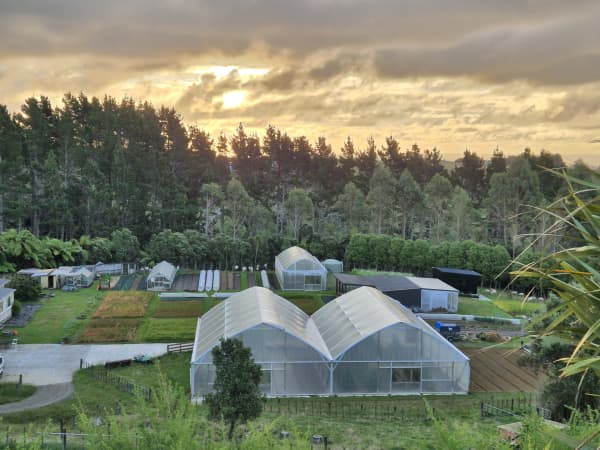When Jodi Roebuck, and his wife Tanya, first moved to Omata, just south of New Plymouth, the land was almost totally bare.