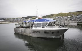 Mystique II used by Paul Reinke.
