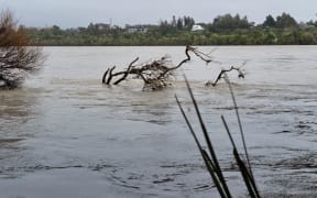 A tree in the flooded Buller River on 18 August, 2022.