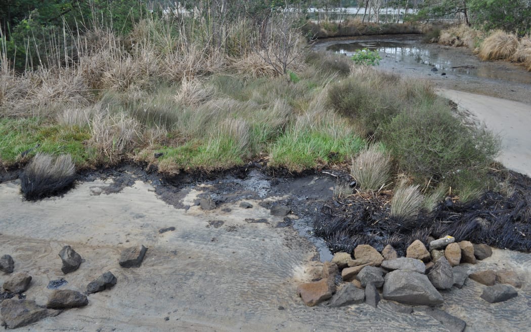 Oil on the Tauranga Harbour foreshore on Tuesday.