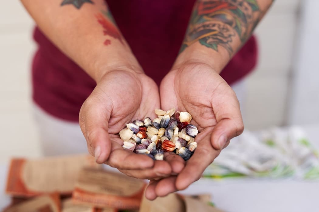 Charles Buenconsejo with heirloom seeds