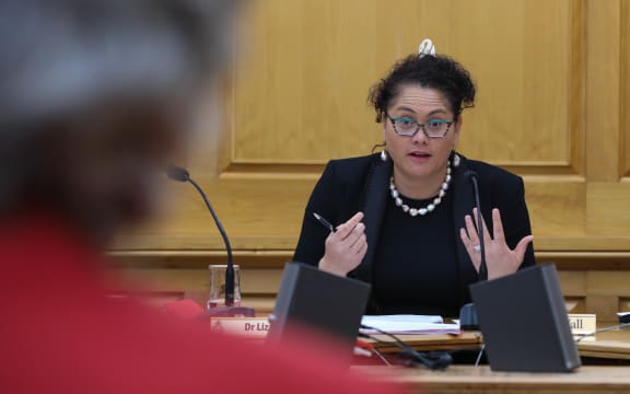 Labour MP Louisa Wall as Chair of Social Services Select Committee